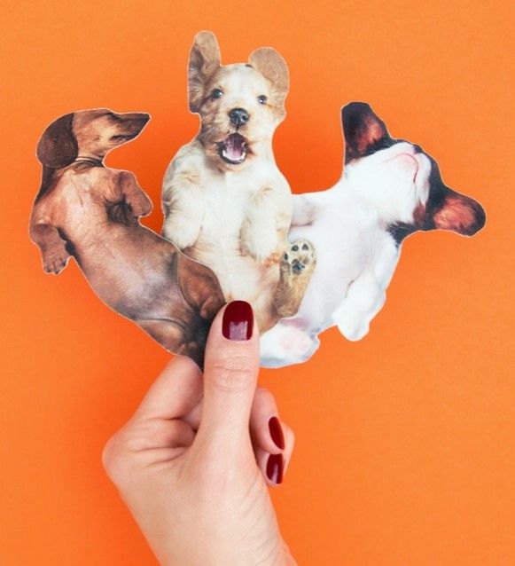 SuckUK Dog Nail Files