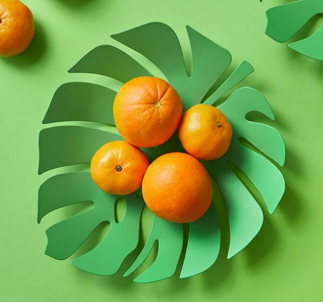 Balvi Fruit Platter Monstera