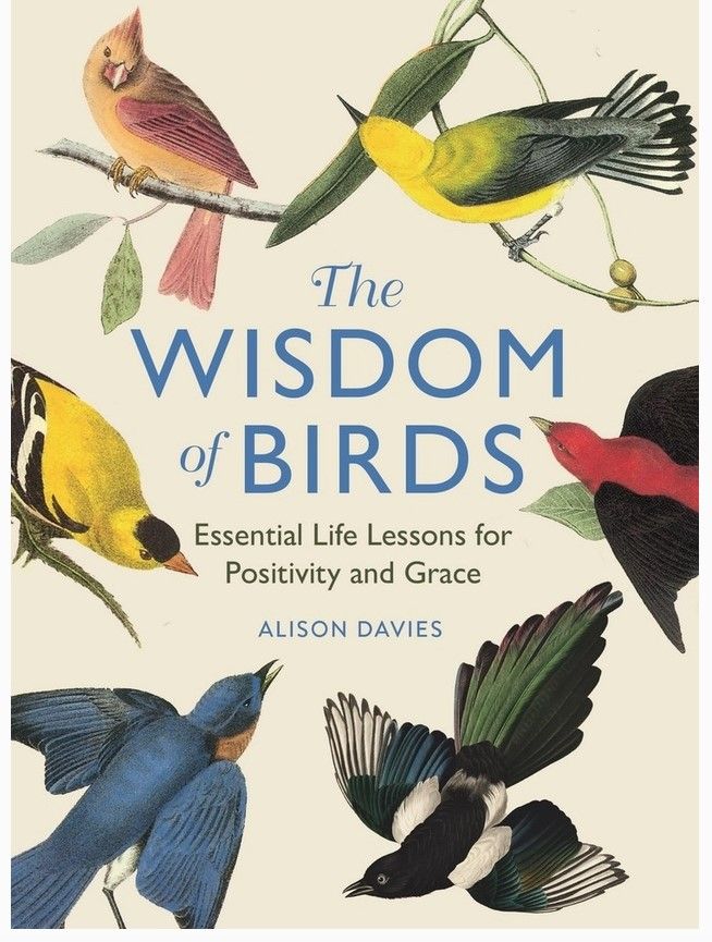 Independent Publishers Group Wisdom of Birds: Essential Life Lessons