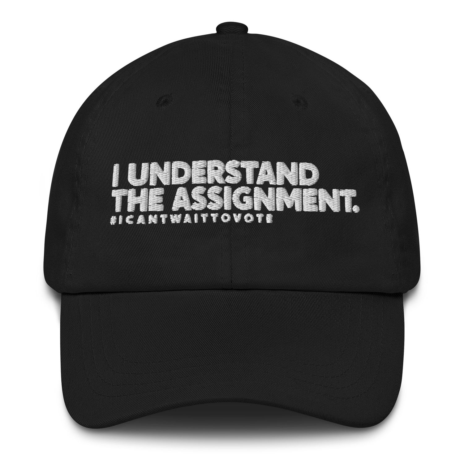 I Understand the Assignment Dad Hat