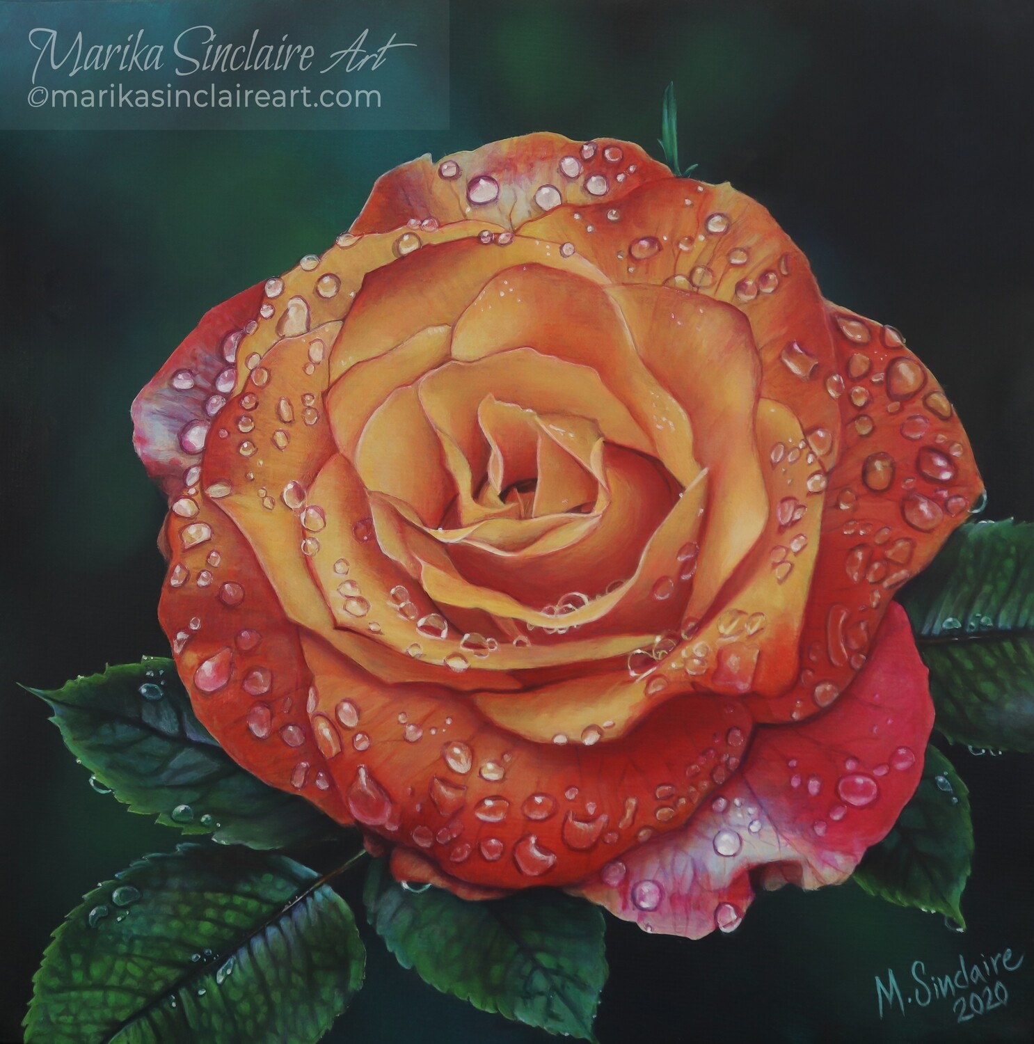 "Million Drop Rose" Original painting "Million Drop Rose" Original painting