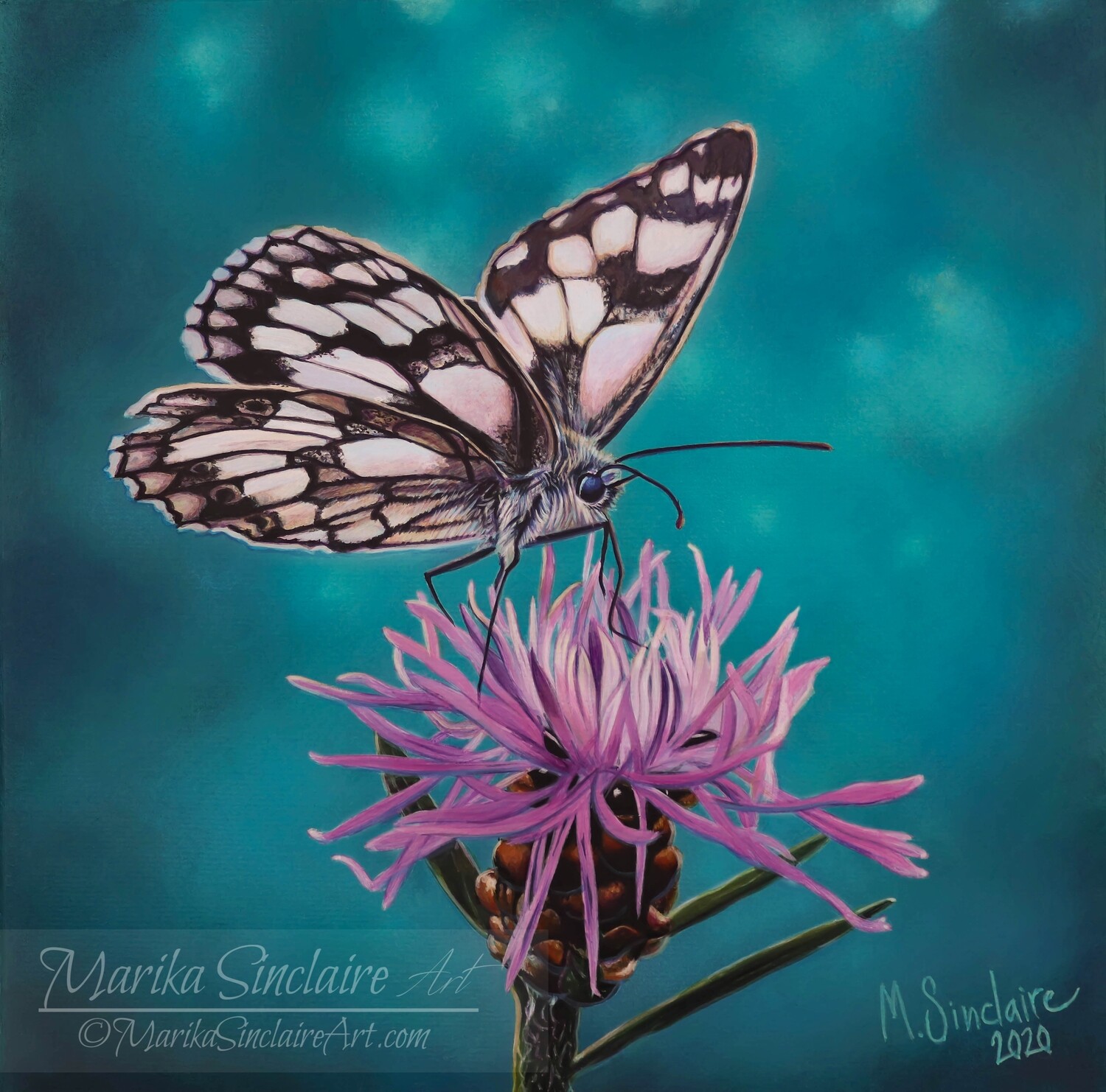 "Butterfly on flower" Original painting "Butterfly on flower" Original painting