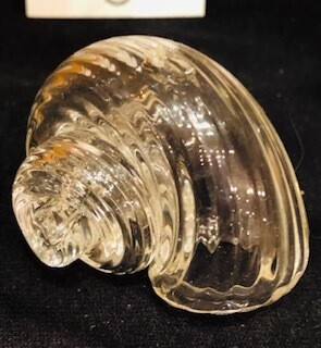 Glass Blown Shells-Emily Lamb Vcu Grad