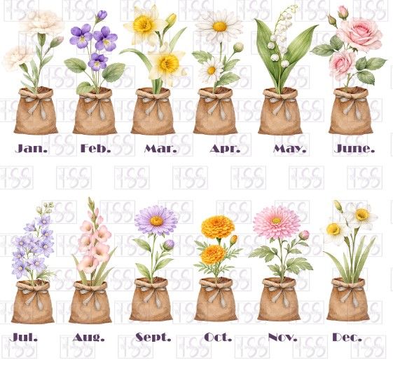Birth Month Flowers Sublimation Design