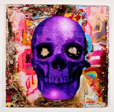 Bram Reijnders purple scull