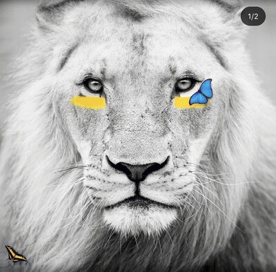 SN Art - King Of The Jungle