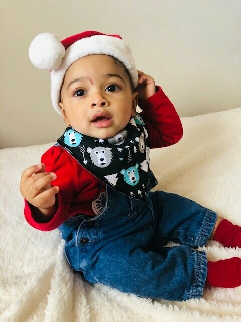 Winter Bear Baby Bandana Bib - Dribble Proof