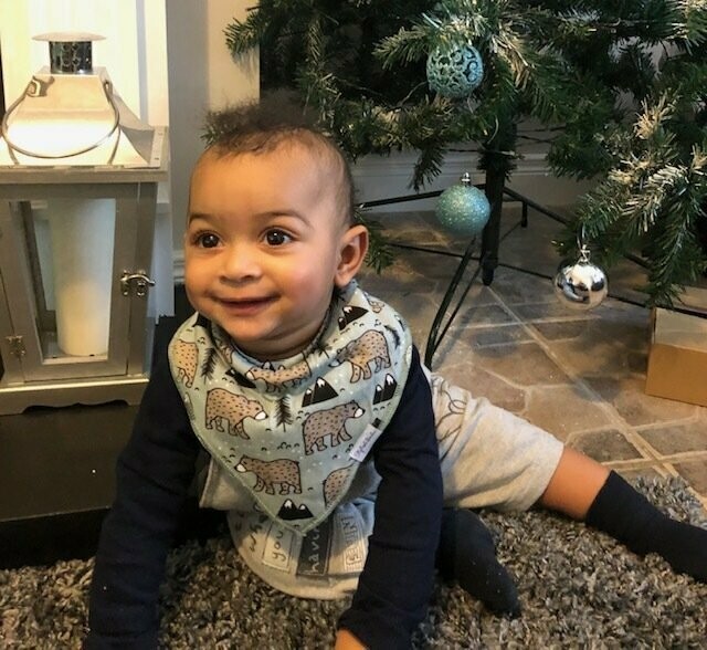 Bear Forest Baby Dribble Proof Bandana Bib