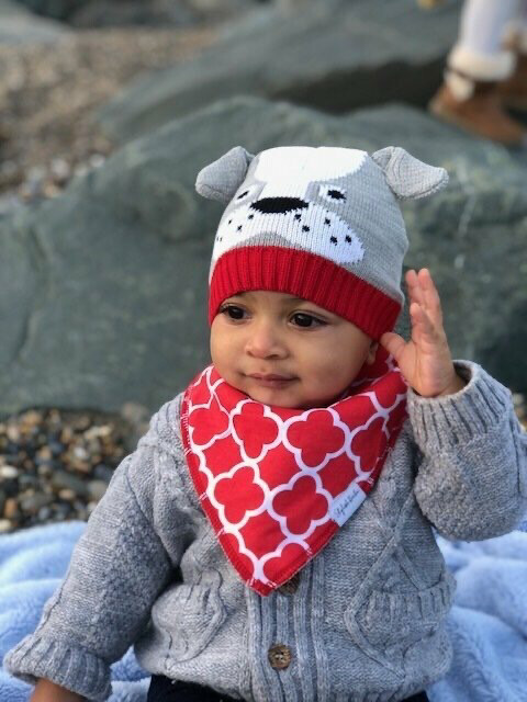 Red Quatrafoil Baby Drool Proof Bandana Bib