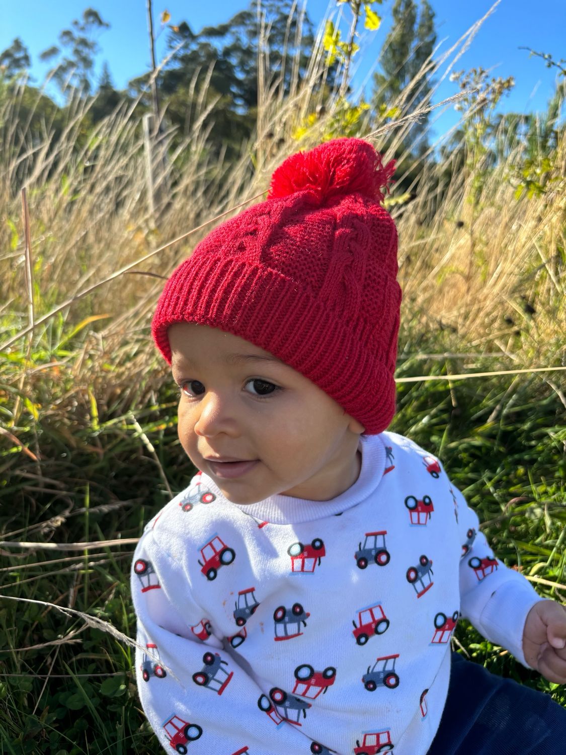 Cosy Red Knit Pom Pom Hat