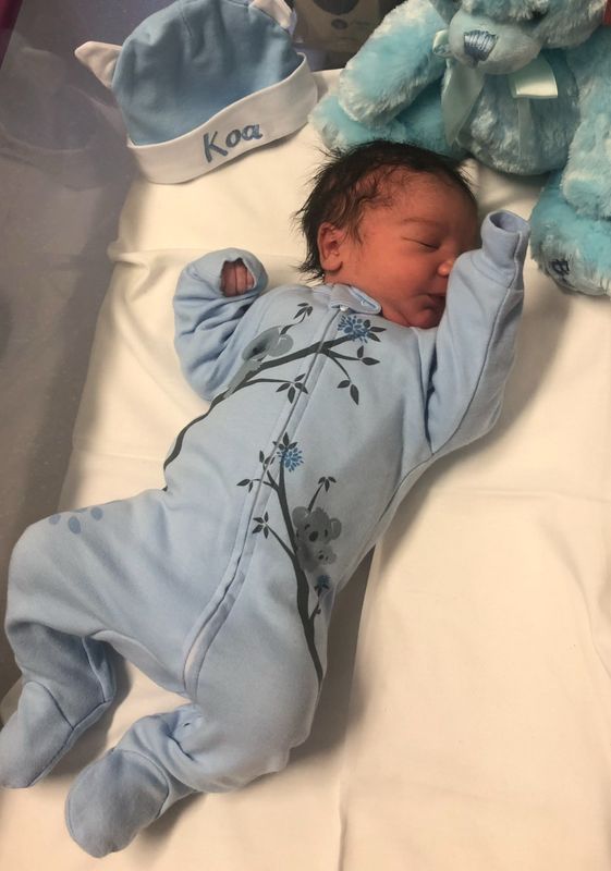 Blue Koala Zip Up Babygrow