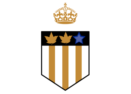 Course: Monetizing MTNs 101