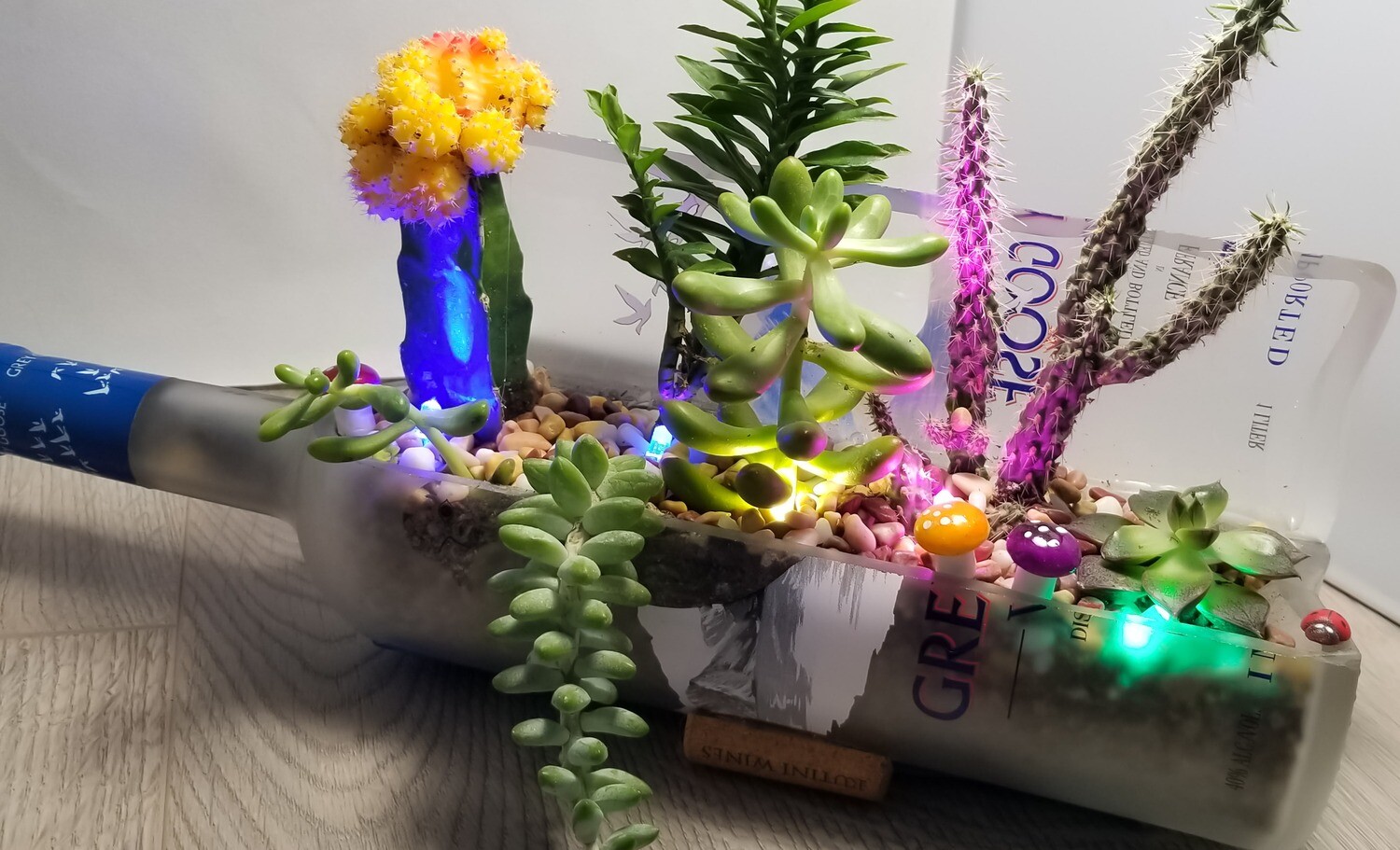 Succulent liquor planter