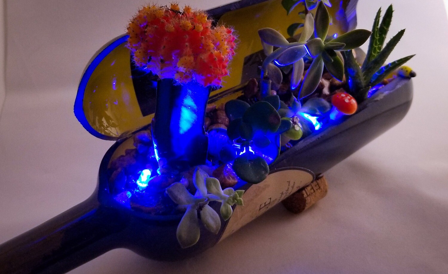 Wine succulent planter color led light