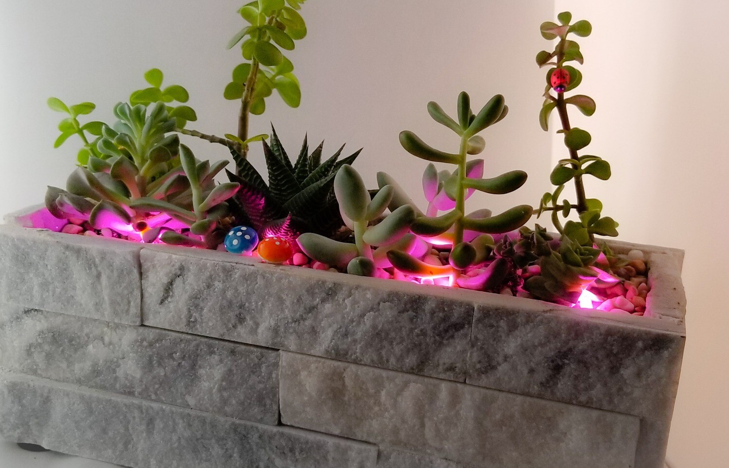 Stone and led succulent planter.