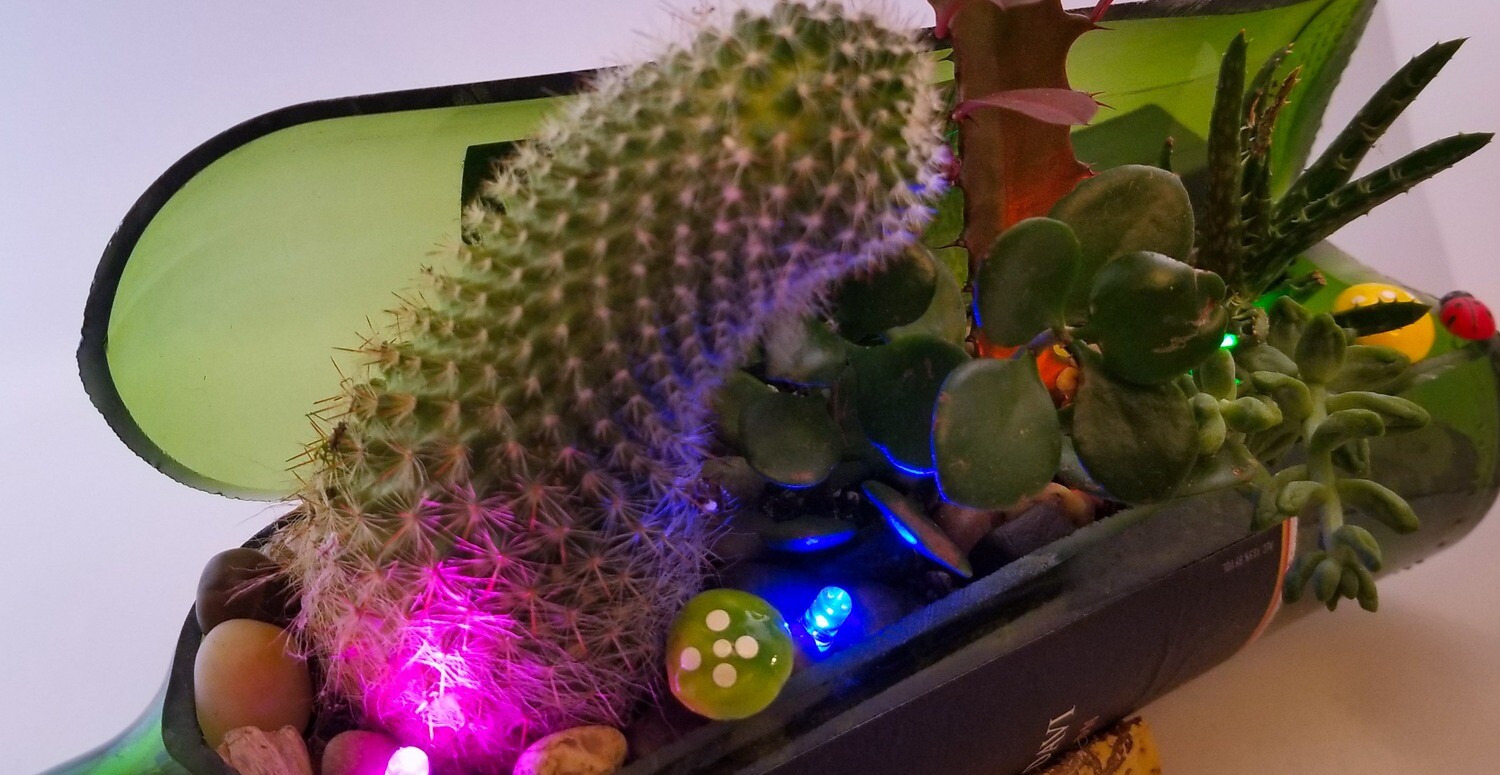 Glass succulent planter color led light