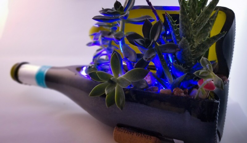 Glass succulent planter color led light