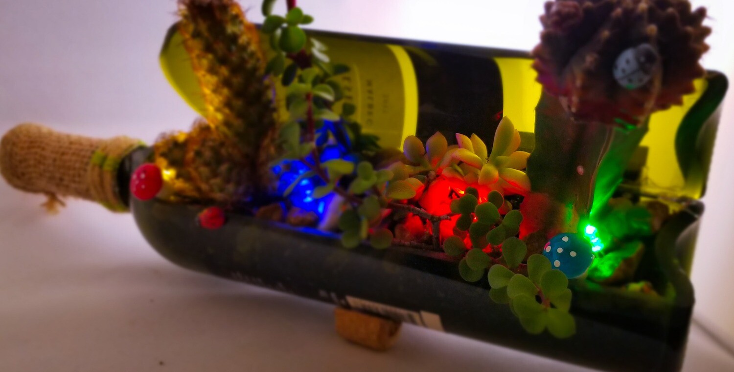Wine succulent planter color led light