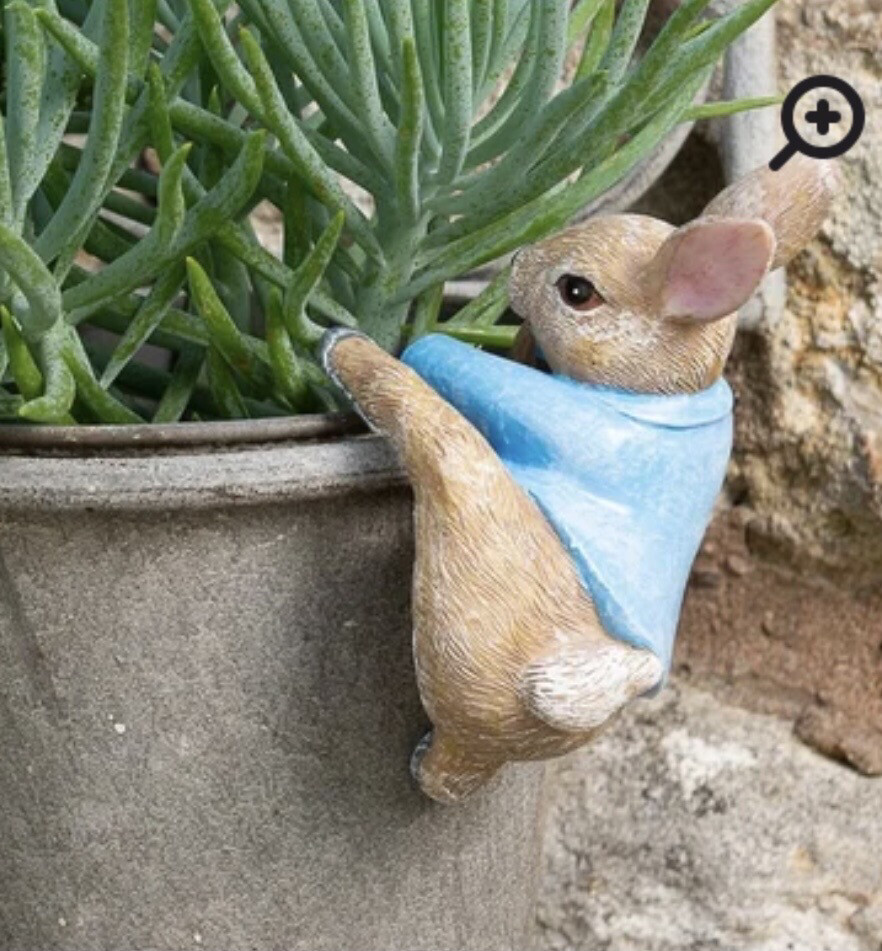 Beatrix Potter Pot Hanger Peter Rabbit Climbing