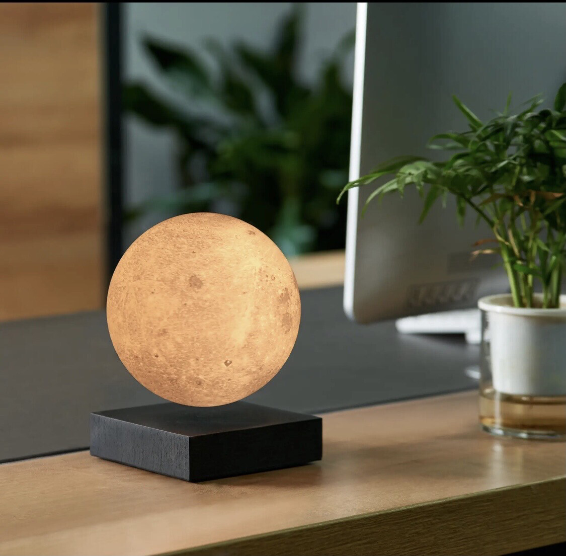 Gingko Smart Moon Lamp