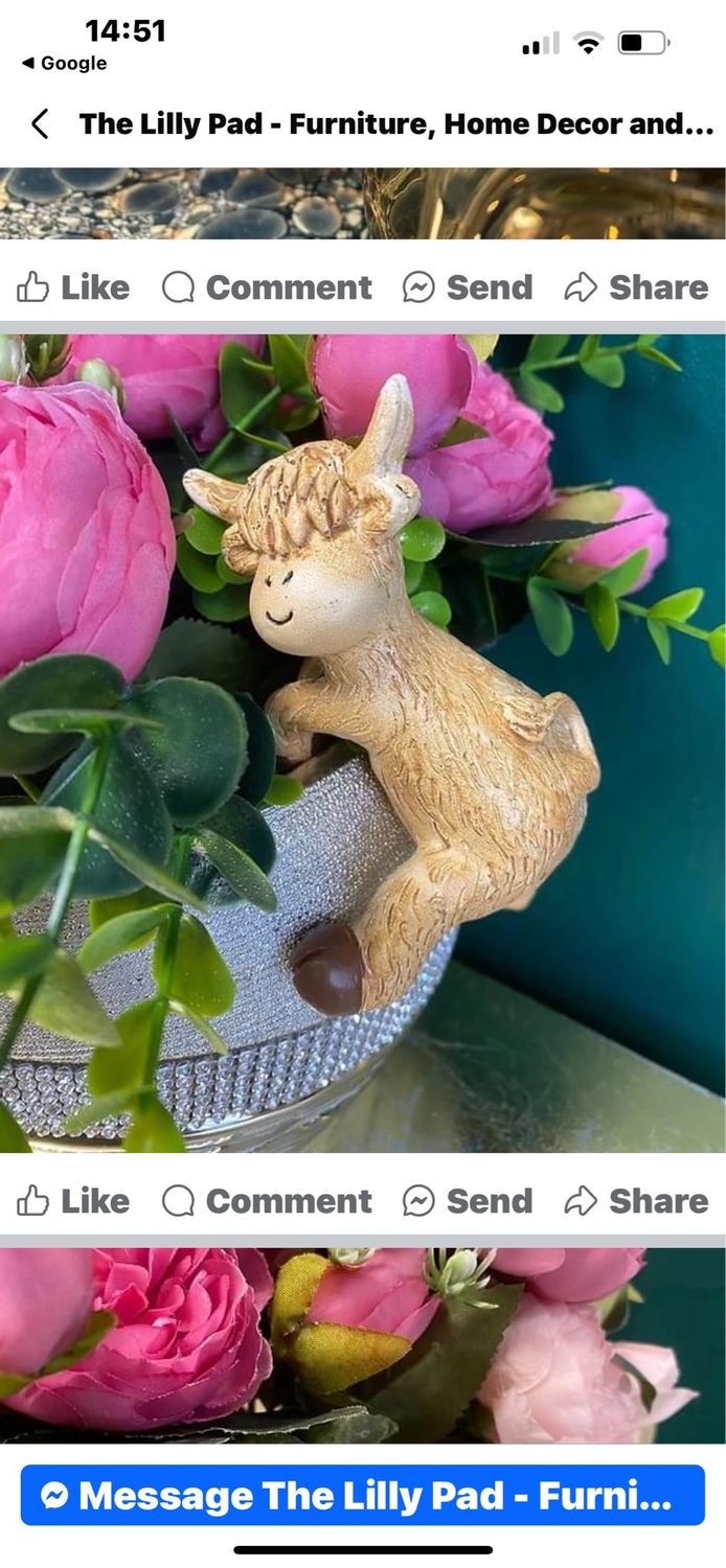 Highland Cow Pot Hanger