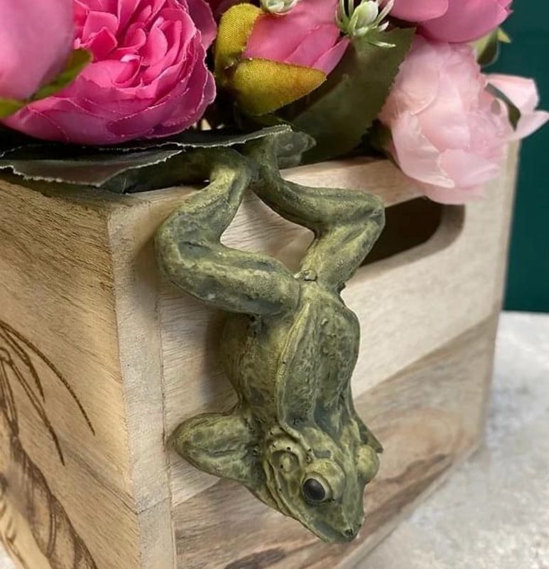 Pot Hanging Frog