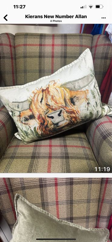 Aquarelle Lachlan Highland Cow Cushion