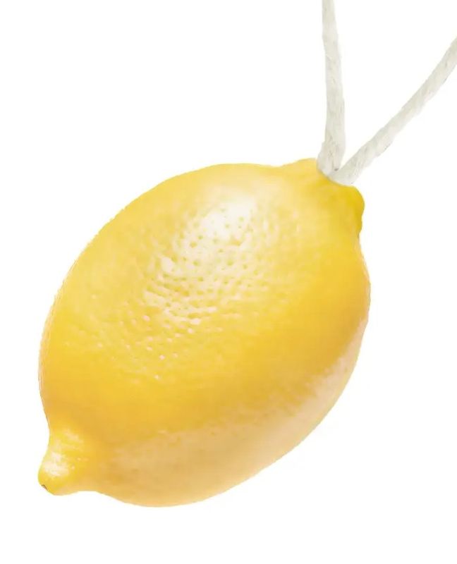 Maitre Savonitto Lemon Soap on Rope