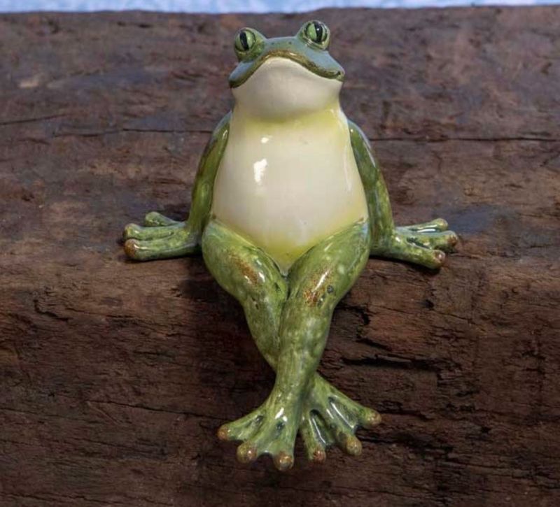 Shelf Sitting Frog Product 1