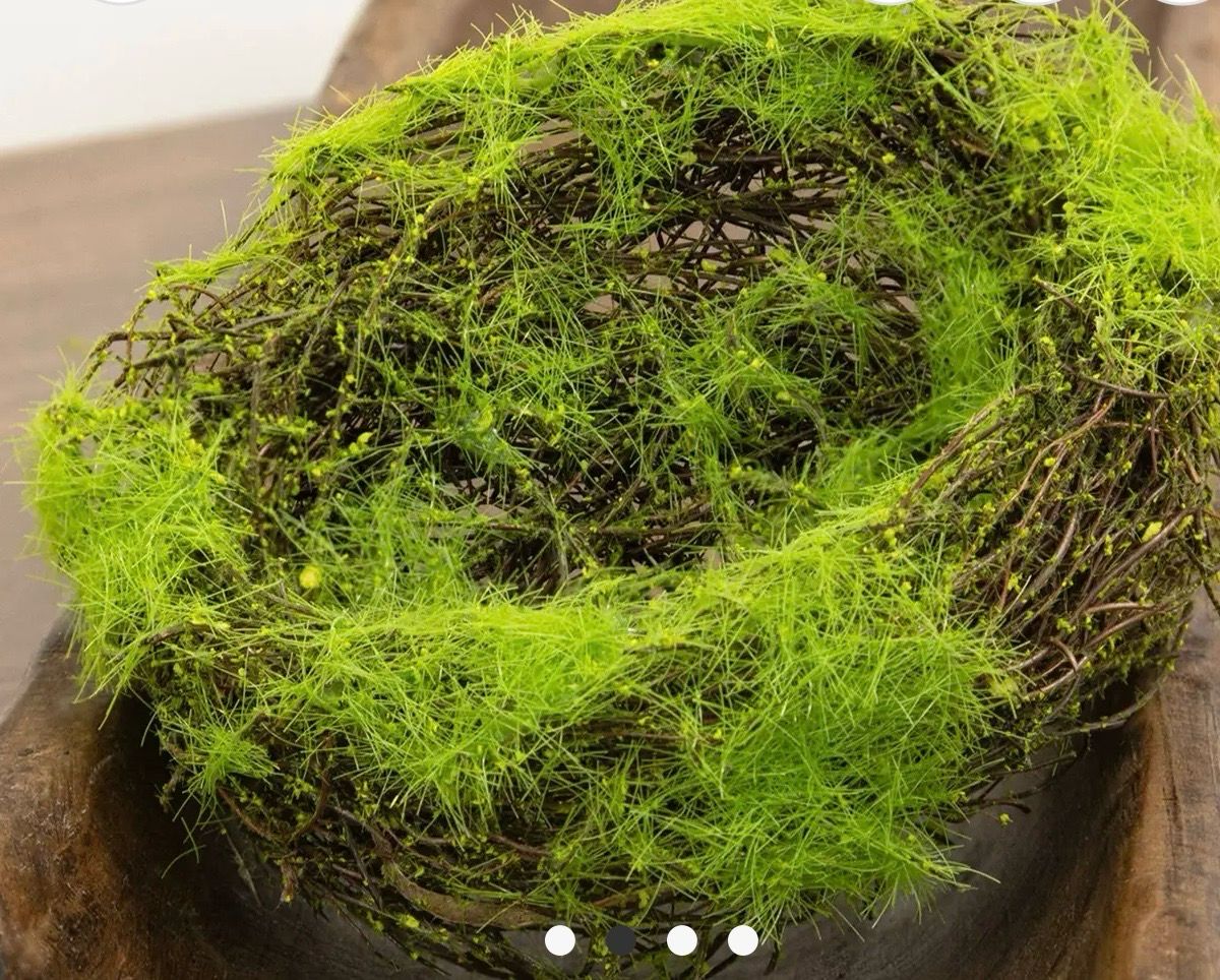 Mossy Vine Bird Nest Decor. 6 Inch