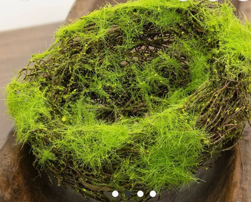 Mossy Vine Bird Nest Decor. 6 Inch