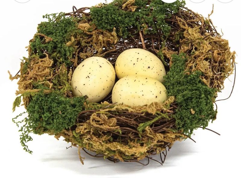 Lush Mossy Bird Nest With Eggs