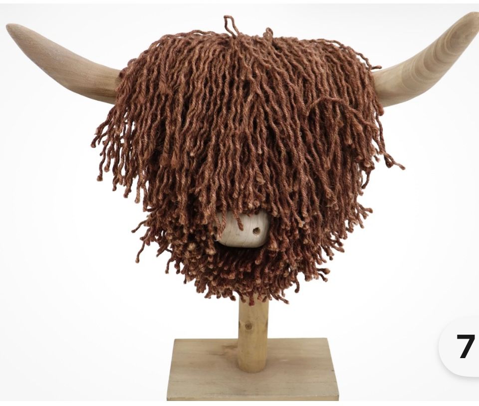 Elspeth The Highland Cow