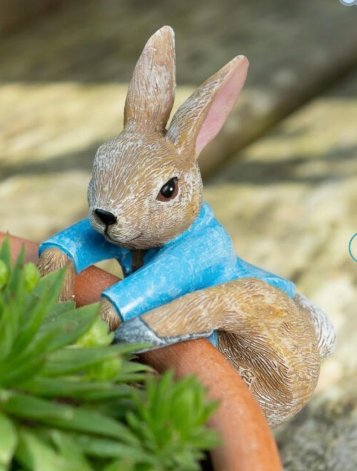 Beatrix Potter Pot Buddies