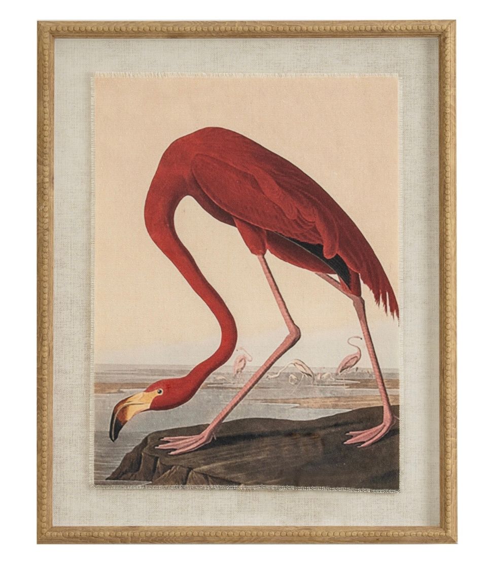 Flamingo Art Picture.