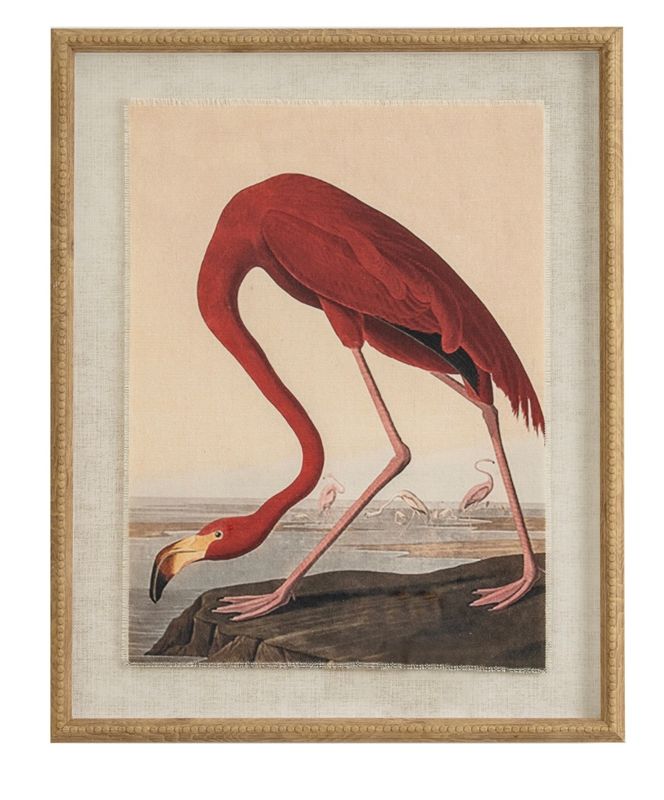 Flamingo Art Picture.