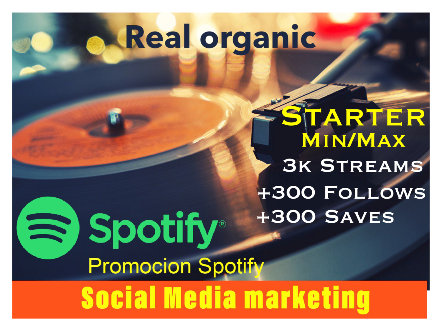 Spotify package Stater 