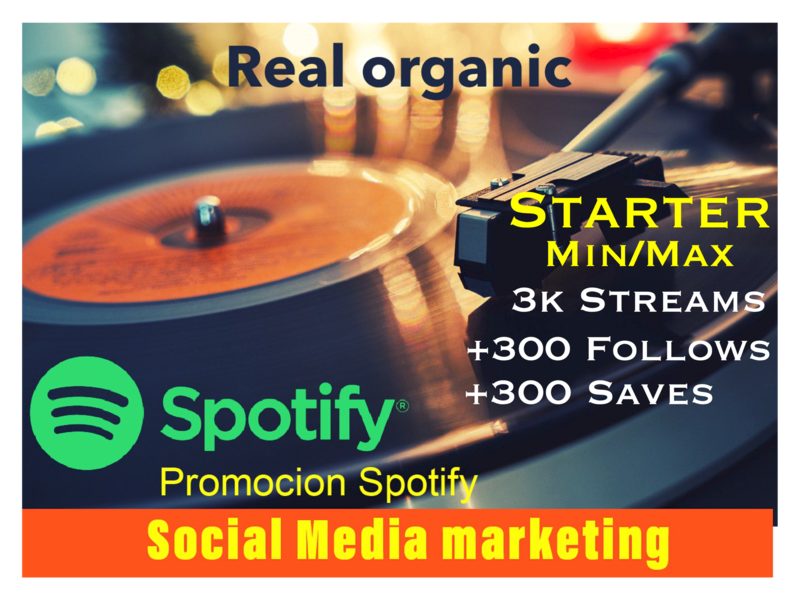 Spotify package Stater 