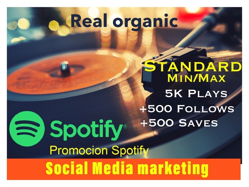Spotify Standar Package