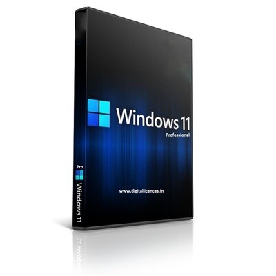 Windows 11 Professional