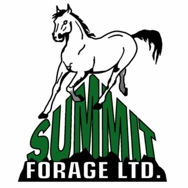 Summit Forage Timothy / Orchard Grass Cubes