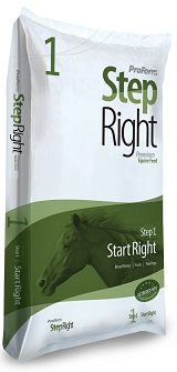 HiPro Step-Right Step 1 Mare and Foal