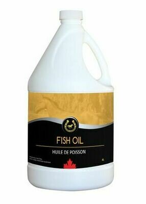 Fish Oil - 4 L