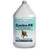 Gastra-FX by Omega Alpha - 4 L