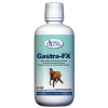 Gastra-FX by Omega Alpha - 1 L