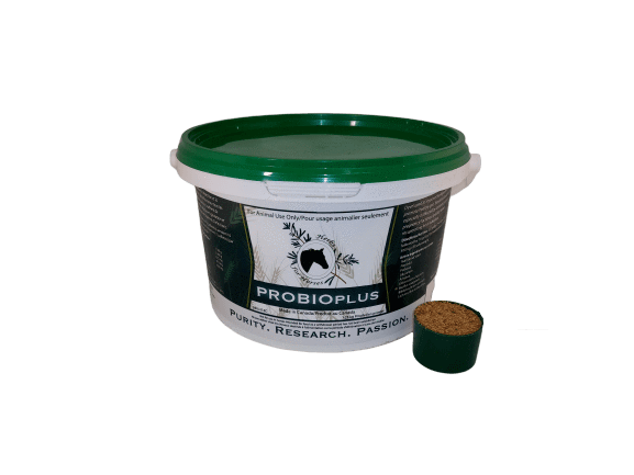 PROBIOplus by Herbs for Horses