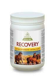 Recovery EQ Extra Strength