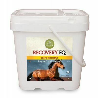 Recovery EQ Extra Strength