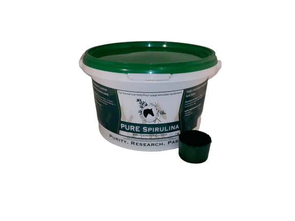 Pure Spirulina by Herbs for Horses