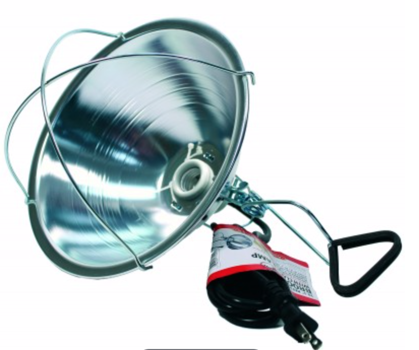 Little Giant Reflector Brooder Lamp With Clamp